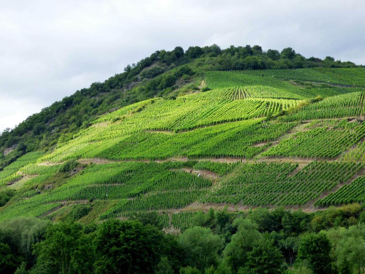 Relaxen Im Alten Winzerhaus Fewo Eg Rech Ngoại thất bức ảnh